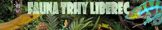 FAUNA TRHY LIBEREC